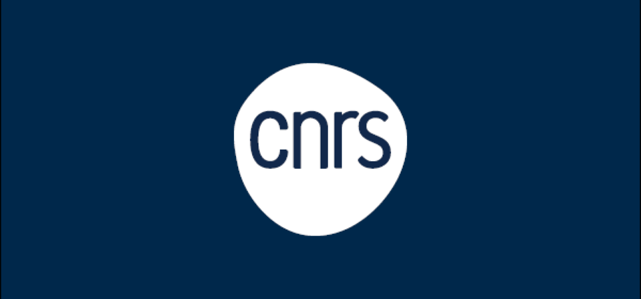 CNRS Positions