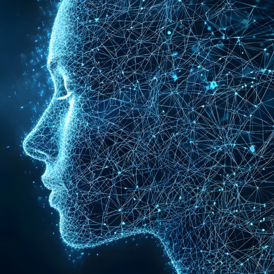 Computational Social Sciences at CREST: Exploring Social Phenomena in the Digital Age